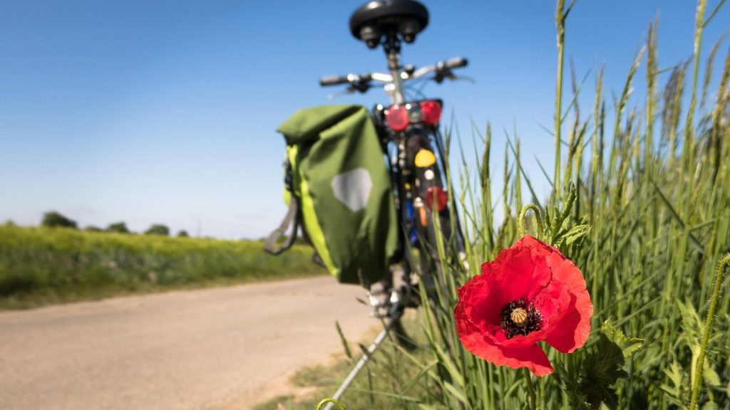 Vélo de voyage chargé de sacoches, au bord d'une route de campagne, avec un coquelicot au premier plan