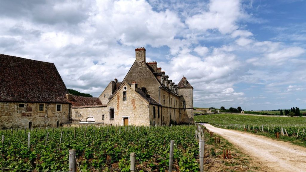 Domaine viticole de Bourgogne avec un chemin de terre