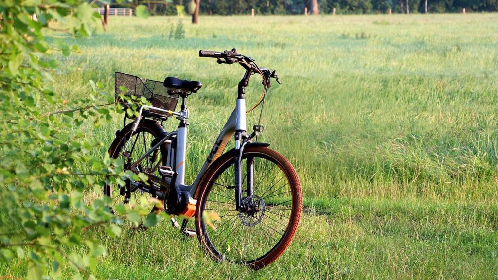 Vélo à assistance électrique avec moteur au pédalier, garé dans l'herbe