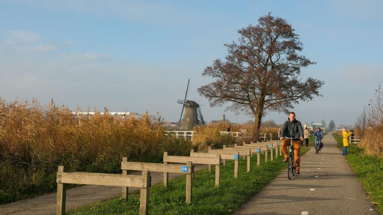 Meilleurs vélos électriques pour randonnée et longues balades