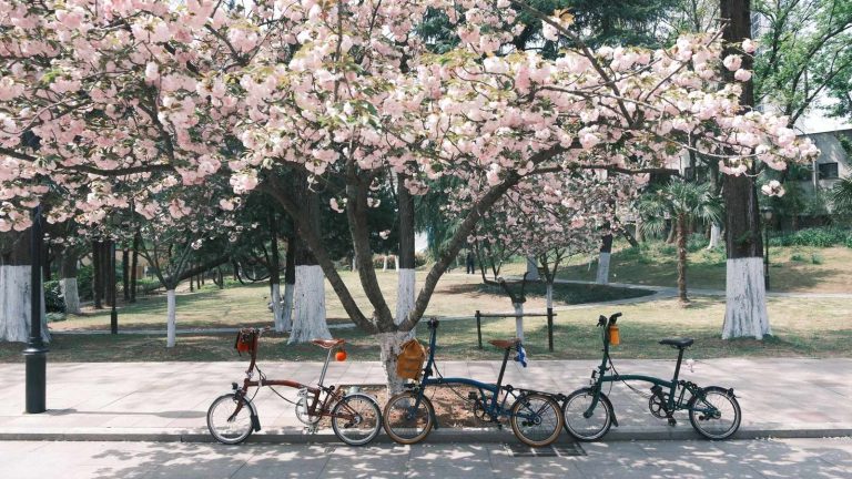 Choisir un vélo électrique pliant pour trajets quotidiens