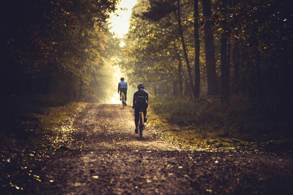 Moteur roue ou pédalier : quel choix pour vélo électrique