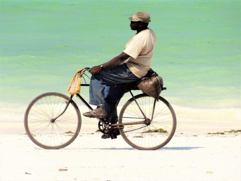 Quelle assurance pour un vélo à assistance électrique (VAE) ?