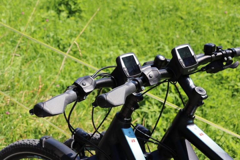 Avis Riese & Müller — vélo électrique haut de gamme